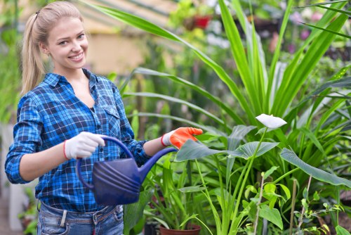 Responsible gardening operations in Surbiton image four