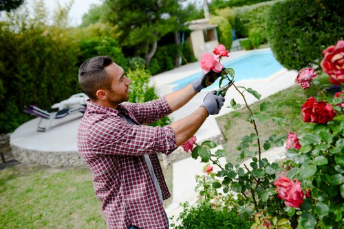 Sustainable garden maintenance in Surbiton with recycling and reuse practices
