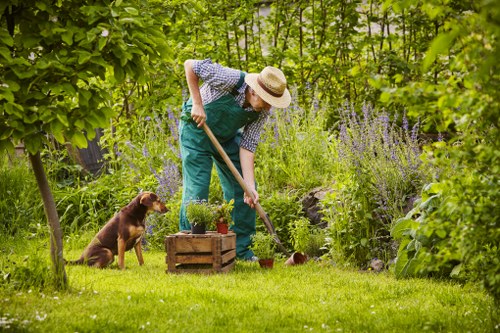 Surbiton gardening team supporting healthy plants and outdoor spaces
