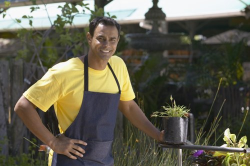 Professional lawn mowing service in Surbiton