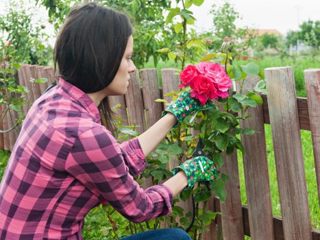 Gardeners in Surbiton improving lawns and planting beds