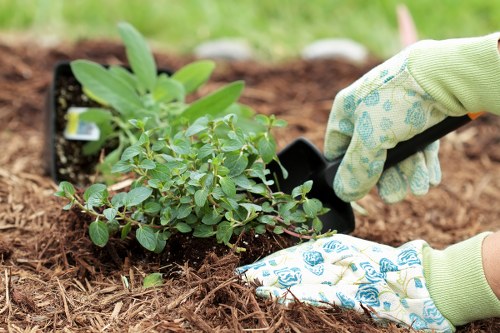 Scheduled gardening visit with access and safety details