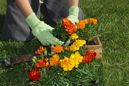 Closing image for the Gardeners Surbiton Cookie Policy