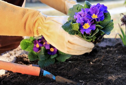 Local Surbiton gardeners creating a balanced and healthy outdoor space