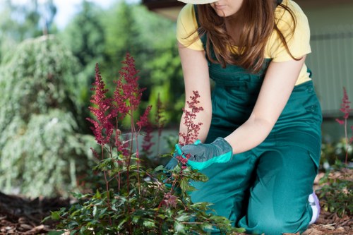 Surbiton gardening team discussing reporting channels image three