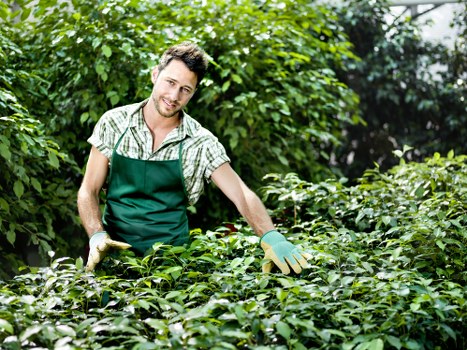 Image representing the types of cookies used on Gardeners Surbiton