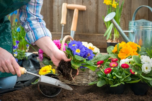 Professional gardeners in Surbiton working on planting and maintenance