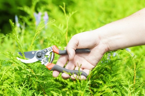 Local Surbiton gardeners shaping a tidy and balanced residential garden