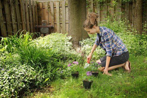 Garden hedge cutting service in Surbiton