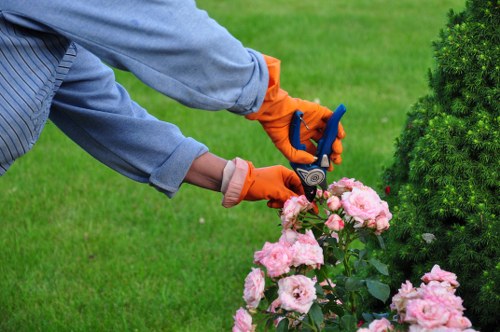 Professional fencing solutions in Surbiton for privacy and security
