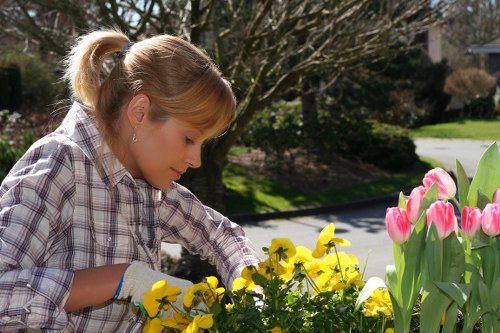 Seasonal garden maintenance carried out by Surbiton gardeners