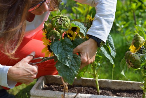 Free quote assessment for a local garden job