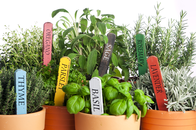 irrigation system garden