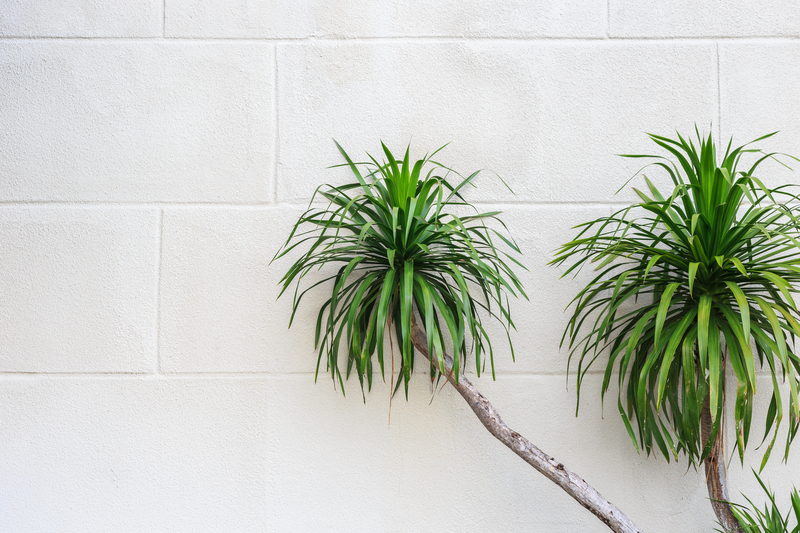 garden care garden